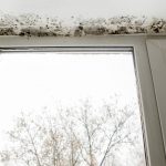 Mold-Remediation-in-Montclair-CA