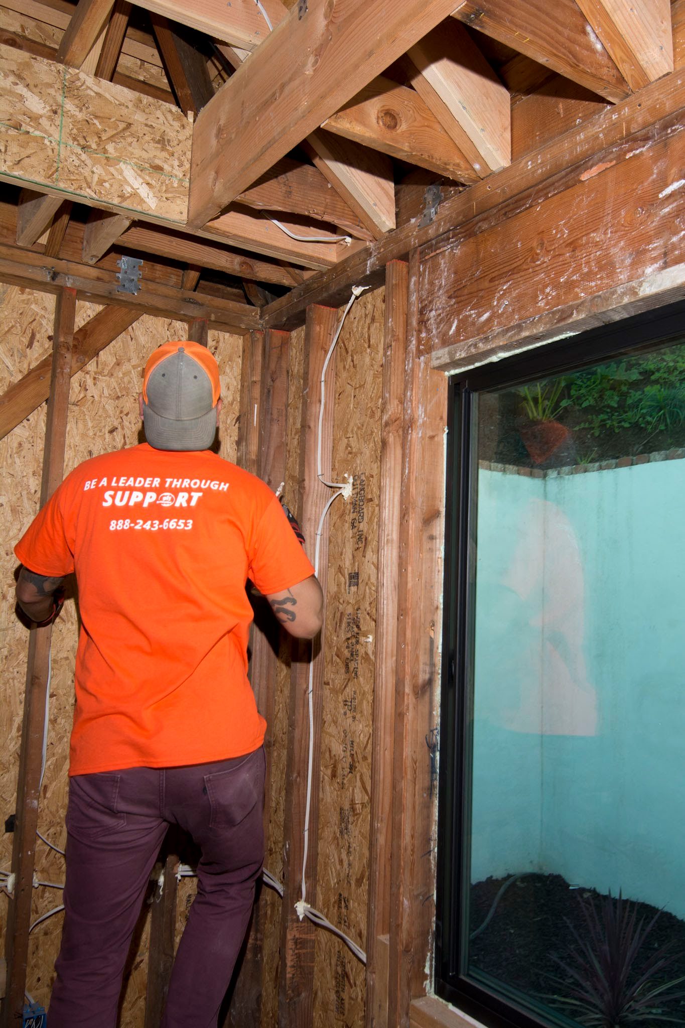 Mold Inspection and Remediation in Mountain Meadows