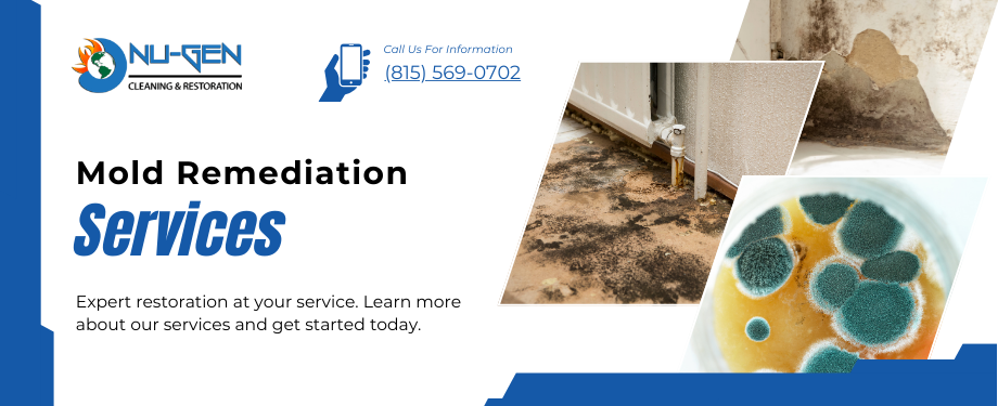 Mold Damage Remediation and Restoration in Mundelein, IL