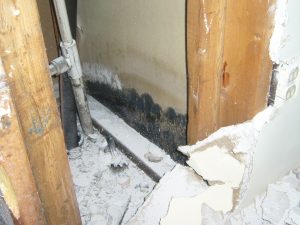 Mold remediation and removal services in Nashua, NH by RestorationMaster - mold behind a wall