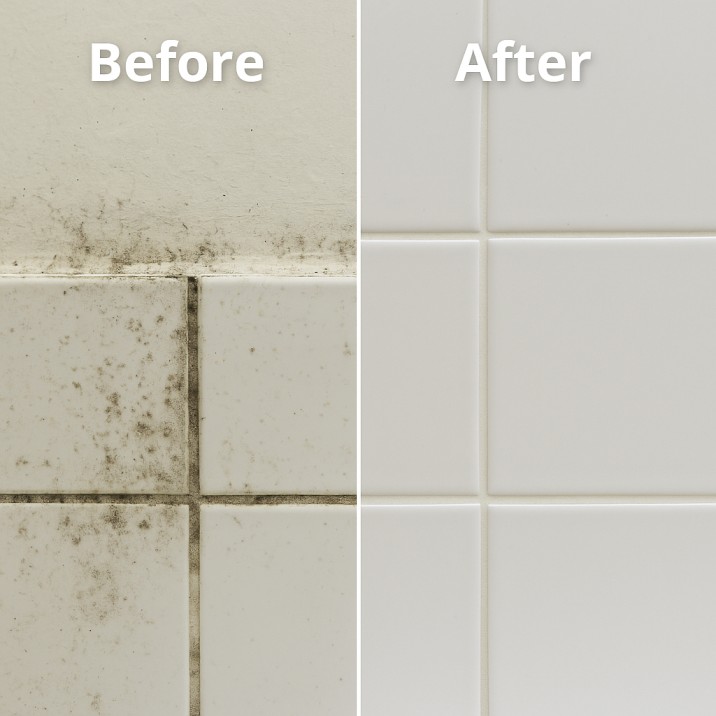 bathroom mold removals