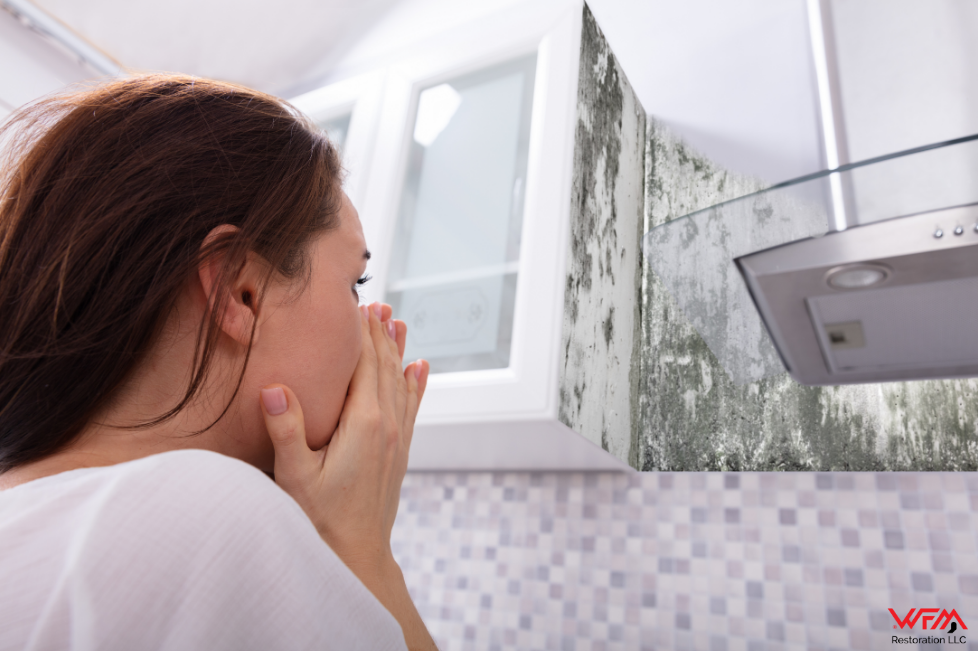women Looking at Mold in kitchen