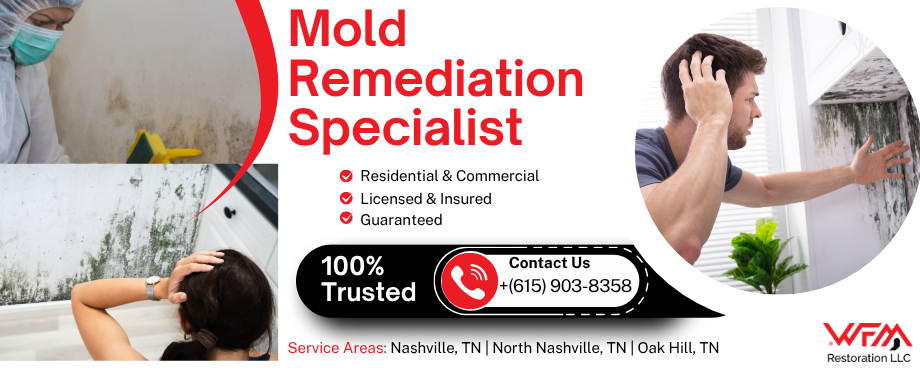 Mold Remediation specialist