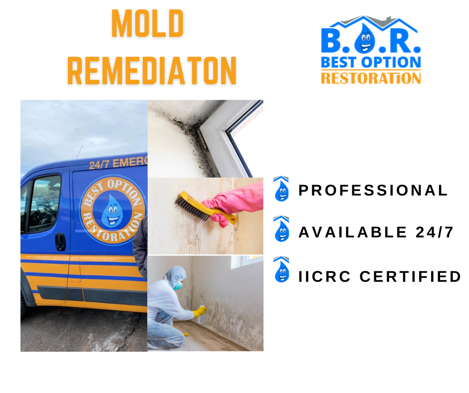 Mold Remediation in Newburgh, NY Black Mold Removal