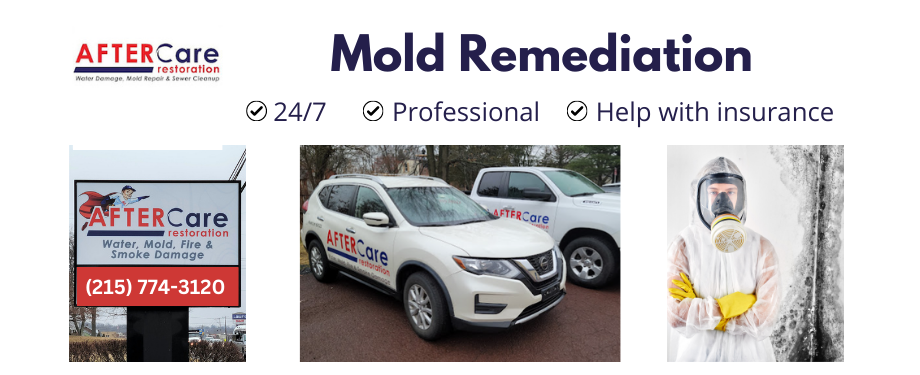 AfterCare Restoration Mold Remediation