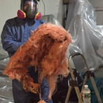 Animal Cleanup with Contaminated Insulation