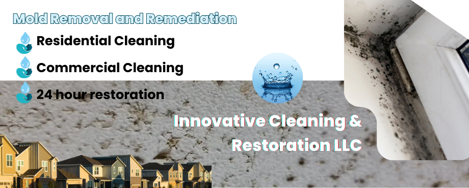 Mold Removal and Remediation in O'Fallon, MO - Innovative Cleaning & Restoration