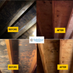 Mold Remediation in attic plywood before and after 