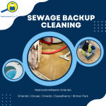 Sewage Backup Cleanup in Ocoee, FL