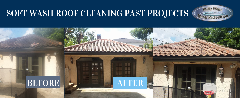 soft wash roof cleaning by Philip White Painting company before and after