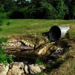 Sewage Cleanup – Orchard-Homes-MT