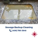 sewage cleanup orchard homes mt