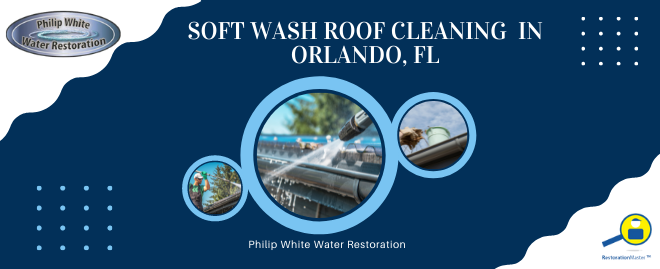 Soft Wash Roof Cleaning in Orlando, FL