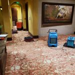 Carpet Cleaning Services for Orlando, FL