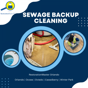 Sewage Backup Cleanup in Oviedo, FL