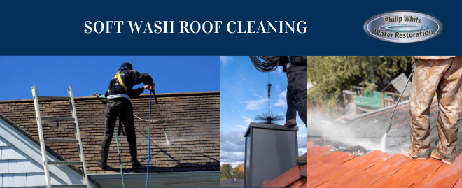 Soft Wash Roof Cleaning at Oviedo, FL