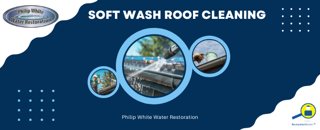 Soft Wash Roof Cleaning in Oviedo, FL