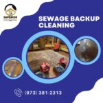 sewage cleanup parsipanny nj