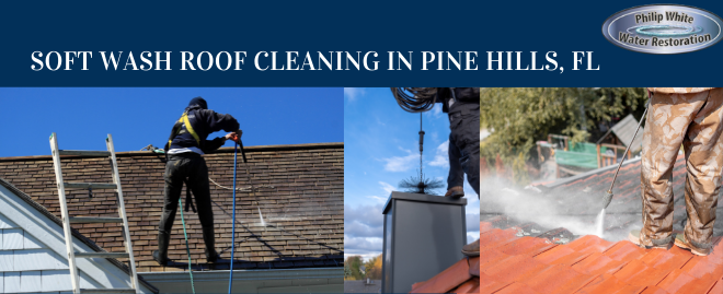 Soft Wash Roof Cleaning in Pine Hills, FL