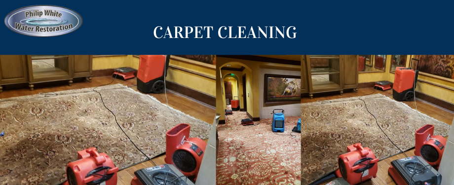 Carpet Cleaning Services in Pine Hills, FL
