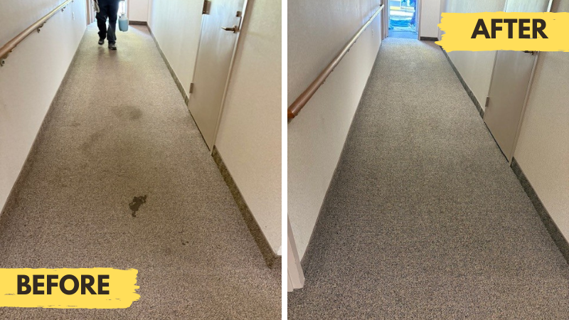 Carpet Cleaning Services in Providence, RI - Water Damage Drying Services