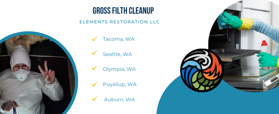 Gross Filth Cleanup-Elements Restoration