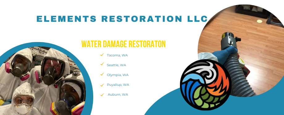 Water Damage Restoration-Elements Restoration