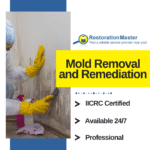 Mold Removal and Remediation in Puyallup, WA - RestorationMaster