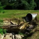 Sewage Cleanup – Red River, SC