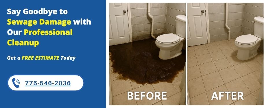 sewage cleanup experts reno nv