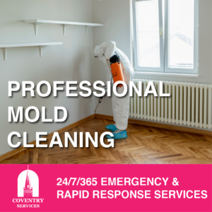 mold-remediation, Reston, VA