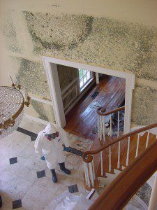 Mold removal