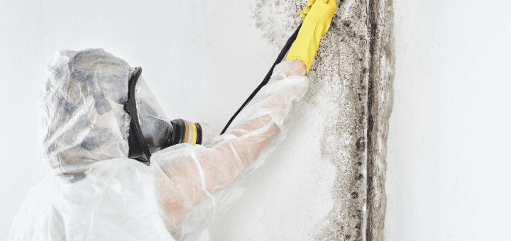 Mold Cleaning Services