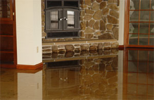 Water damage restoration professional services