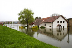 Commercial Water Damage