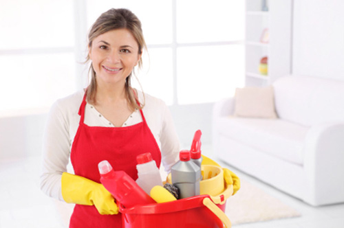 Cleaning Tips - Dust Mites