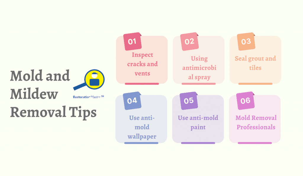 Mold and Mildew Removal Tips Mold Remediation Blog