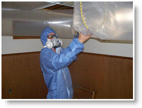 mold cleanup