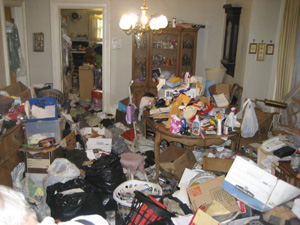 Hoarder cleanup store