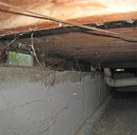 Crawl Space Cleaning