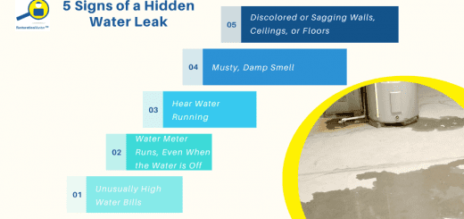 5 Signs of a Hidden Water Leak