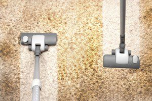 Efficient residential or commercial Carpet Cleaning services