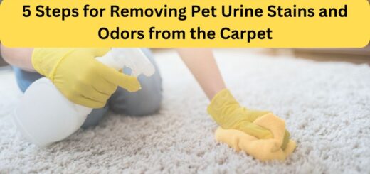 Removing Pet Urine and Odor - RestorationMaster