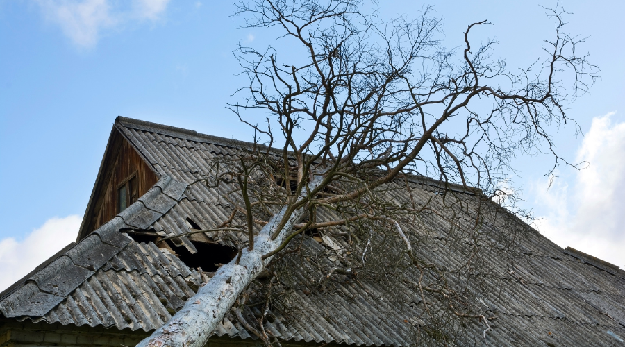 Wind Damages to Roof