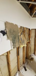 Mold in Walls - Hidden Mold - Black Mold