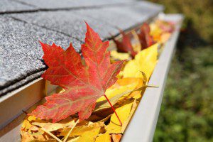 Fall - Home Gutters