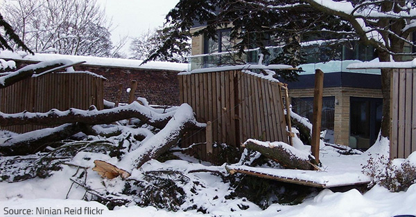 Recovering from winter storm damage is quite a challenge.