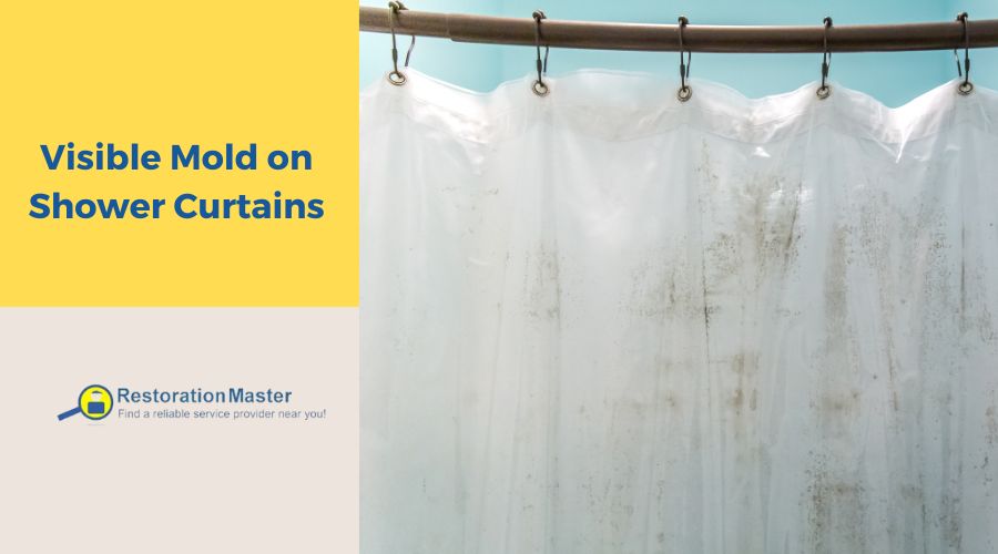 visible mold on shower curtains