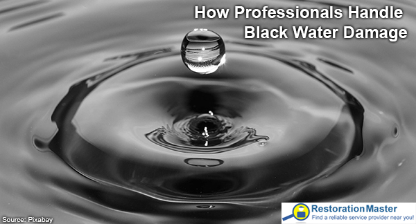 How to handle black water damage