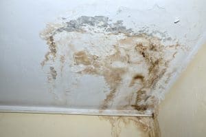 DIY Mold Removal in Pasadena, CA - White mold on ceiling, caused by water damage